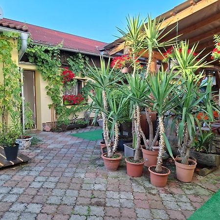 Penzion Many Peny Jindřichův Hradec Habitación foto