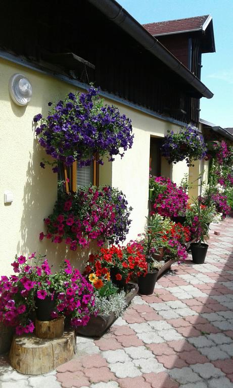 Penzion Many Peny Jindřichův Hradec Exterior foto